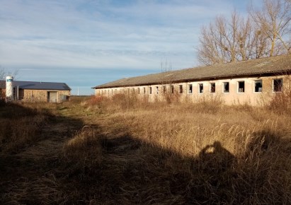  na sprzedaż - Kołbaskowo, Kamieniec