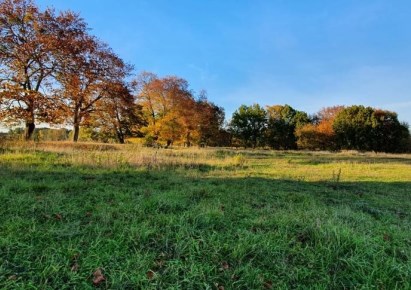 działka na sprzedaż - Węgorzyno (gw), Rogówko