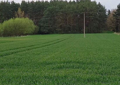 działka na sprzedaż - Barlinek (gw), Rychnów