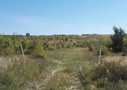 działka na sprzedaż - Kołbaskowo, Bobolin