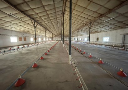 zaklad_produkcyjny na sprzedaż - Dąbrowa Biskupia