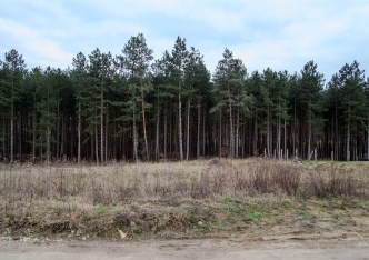 działka na sprzedaż - Gryfino (gw), Pniewo