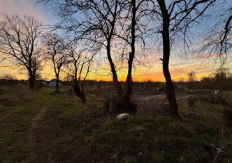 działka na sprzedaż - Gryfino