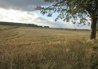 działka na sprzedaż - Dobra (Szczecińska), Wąwelnica